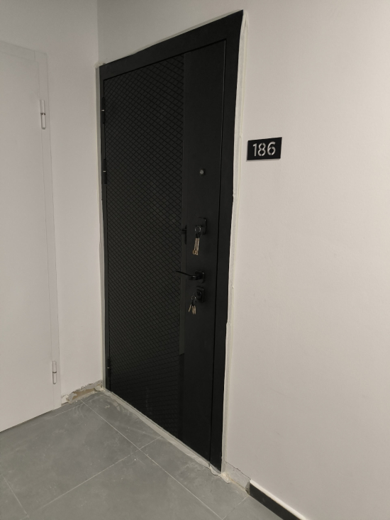 Фото входной двери №82